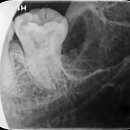 서창치과의원 이미지