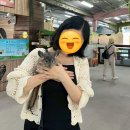 해돋이2농장 이미지