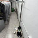 해피크린 이미지