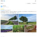 (유)트리플투어