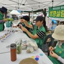 동백호수공원 이미지