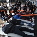 분당-383 이미지