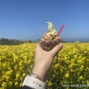 가파초등학교 병설유치원 이미지