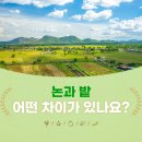 논이랑 밭이랑