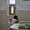수족구 증상으로 4박 5일 입원 치료 및 병원비 솔직후기 (feat. 돌치레 이후 잔혹했던 수족구 격리 일지)