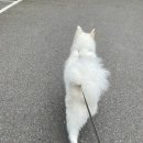 만년YES동물병원 이미지