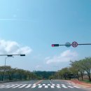 아덴+(Aden+) 이미지