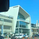 환여경로당 | [경북] 환여횟집 / 내돈내산 포항 영일대해수욕장 대표 물회 맛집 후기