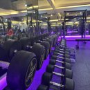 우리휘트니스 | [분평동헬스장/분평동pt] 후기가 증명하는 헬스장 '유일휘트니스'