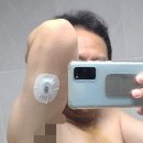 (주)광우헬스케어 | 카카오 헬스케어, 파스타 슈가캠프, 연속혈당측정기 체험 신청 당첨 - 참석 후기