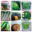 우리들 밥상 이미지