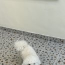 라봉네일 이미지
