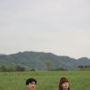 초록밭 이미지