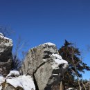 소나무 황토빌 이미지