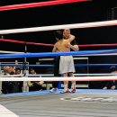 갈산복싱클럽 이미지