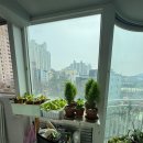 우성슈퍼 이미지