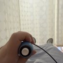 늘편한가정의학과의원 | 임신기록 19# 임신 32주차 / 태동검사 / 임산부 백일해주사 저렴하게 맞는 법