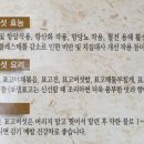 청자골 식품