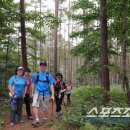 7월 여행정모 산음자연휴양림 숲체험 및 숲치유 프로그램 후 물놀이(21일 토요일) 이미지