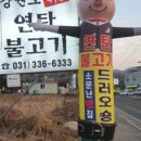 강원도위가연탄불고기 이미지