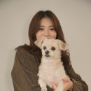퓨어무드스튜디오 이미지
