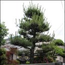 주)아스 이미지