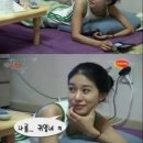 나는펫 서울신문