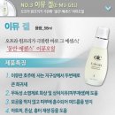 채이은