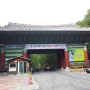 홍진목장 | 동화사의 진신사리
