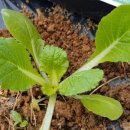 불암농장 이미지