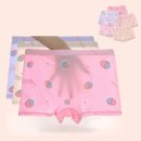 속옷나라 이미지