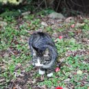 저두 출렁다리입구 이미지