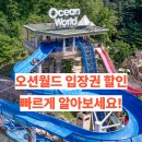 펫클럽천안 | 2025 오션월드 입장권 할인 예매 완벽정리