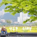 부산낙동강유채꽃축제 티스토리