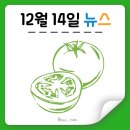 ㈜코리아세븐 홍익대2호점 | [푸디뉴스] 12월 14일 식품업계 뉴스 클리핑
