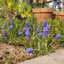 3층 봄날약국 이미지