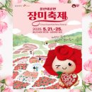 넘버25 울산학산점 | 울산 대공원 장미축제 기간 가수 공연 방문꿀팁 2025
