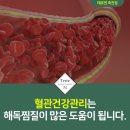 테르엔 이미지