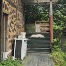 호국원실외 | [임실] 꽈배기진 본점 방문후기