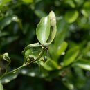 강현농장 이미지