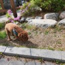 위례나무동물병원 이미지