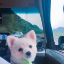 강촌이모네 이미지