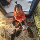 데뷔 40주년 기념 심수봉 콘서트 | 이승철 창원콘서트 25년 오케스트락3 성산아트홀 다녀왔어요.