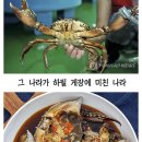 한국에 정착한 외래종 톱날꽃게 이미지