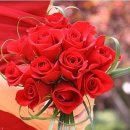 한글사 Daum카페