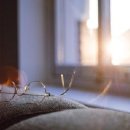 신호농장 이미지