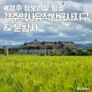 분황사주차장 | 경주 청보리밭 명소 분황사 경주역사유적황룡사지구 실시간 주차장
