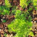 화순케어랜드요양병원 이미지