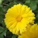 가을코스 이미지