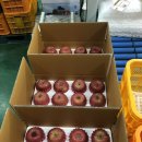 하은농원 이미지